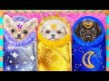 ¡Perros Luna vs Sol y Estrella en la Vida Real! ¡Construimos una Habitación Secreta para Mascotas!