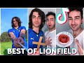 Best of TikTok Lionfield Compilation #1