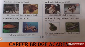 EVS  Class -3 Chapter -6  Animal World
