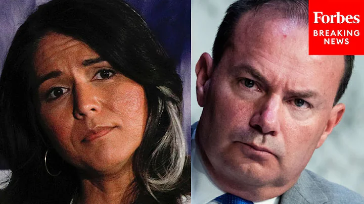 'Are You As Shocked As I Am?': Tulsi Gabbard Campa...