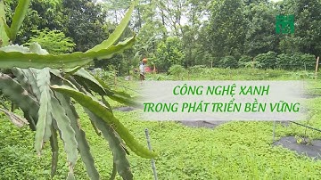Công nghệ xanh trong phát triển bền vững | VTC14