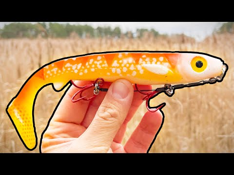 Video: Hur Man Lagar Fisk I En Långsam Spis (karp I Gräddfil)