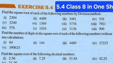 Exercise 5.4 Class 8 in One Shot | Ex 5.4 New Book Class 8 Maths | 