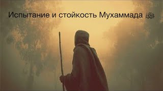 Испытание и стойкость Мухаммада ﷺ