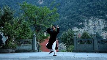Tutorial: Xiao yao Zhang 逍遥掌