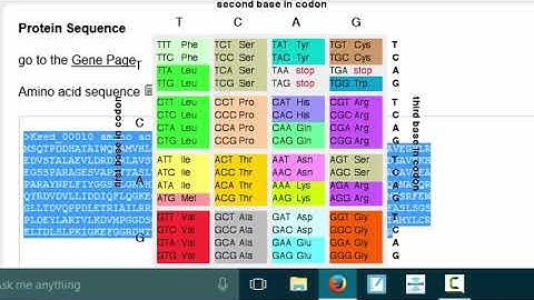 GENI-ACT Module 2 - Sequence Based Similarity - CDD Search Video