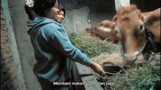 LIVE-IN di DUSUN CANDI, DESA JATIREJO, NGARGOYOSO, KARANGANYAR | STIKES NASIONAL SURAKARTA 