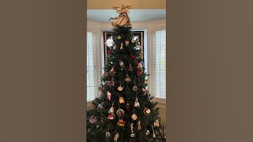 Night 20 Advent Window Walk 2024 #adventwindows #adventsfenster #adventcalendar #adventskalender