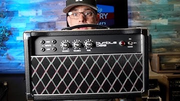 3 Dumble Mods - 8 Watts - 1 Insane Price - The Bumble Bee Guitar Amplifier