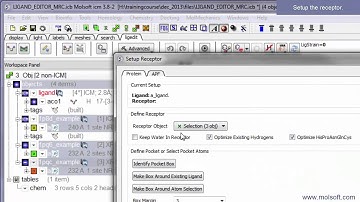 4D Docking in the Ligand Editor.