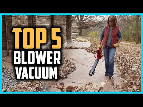 Top 5 Best Leaf Blower Vacuum Mulcher Reviews in 2022