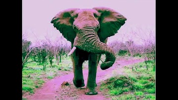 Tutorial Presented by Josh Berkus of PGExperts at PGConf Silicon Valley 2015