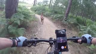 WhatsApp Video 2020 09 09 at 12 14 37