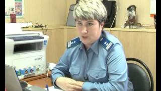 Кому заниматься судьбой бездомных животных? 29-10-2012 Кому заниматься судьбой бездомных животных? 29-10-2012