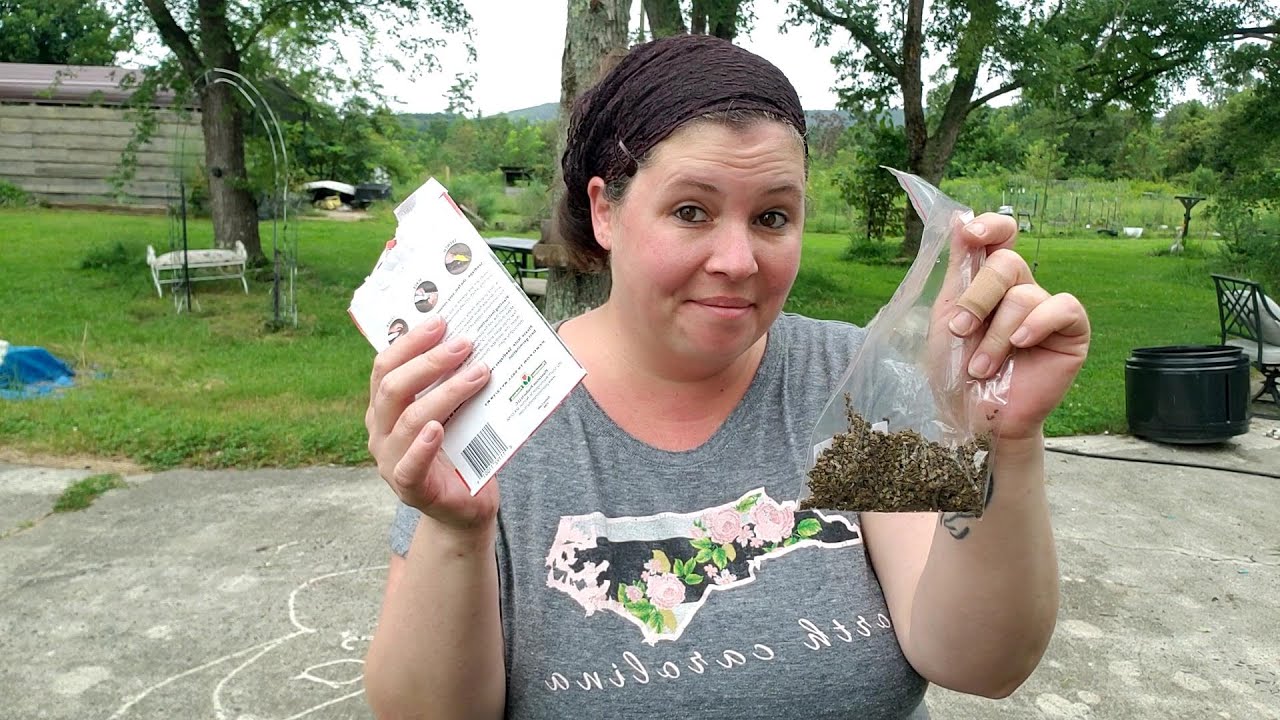 Planting carrots for the fall Zone 7B How to plant and amend soil for