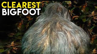 Most Elusive Creatures on Trail Cam Compilation
