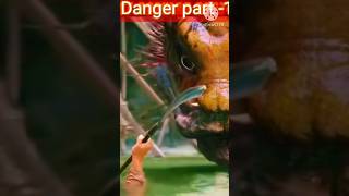 Denger movie clip || Best Chinese Action Movies In Hindi