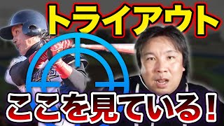 トライアウトの成績は関係ない！実は〇〇を見られている！【12球団合同トライアウト】