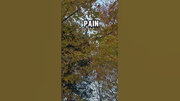 REVELATION 21:4 #worship  #blessedworship  #blessedbyworship  #bibleverse  #fyp #shortvideo