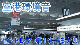 【空港環境音】チャイム&アナウンス 中部国際空港第1ターミナル チェックインカウンター前