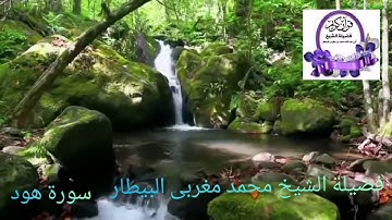 سورة هود- قيام رمضان ١٤٤٠ - الشيخ محمد البيطار