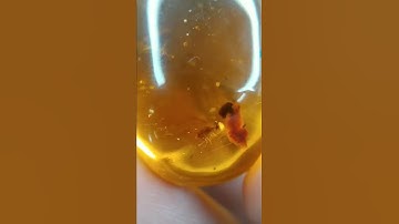 THIS Amber Doesn