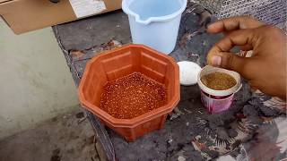 Garmi me kabutar ke liye THANDA PANI by Irfan Khan (part-vii)