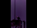 コウノトリのヒナの巣立ちを離れて見守ろう!(水戸市) 2026.6.10