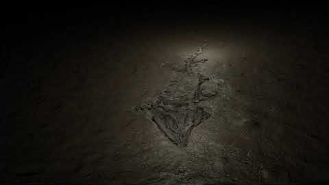 Demo reel featuring the Rutland Sea Dragon (Ichthyosaur) in various 3D presentations