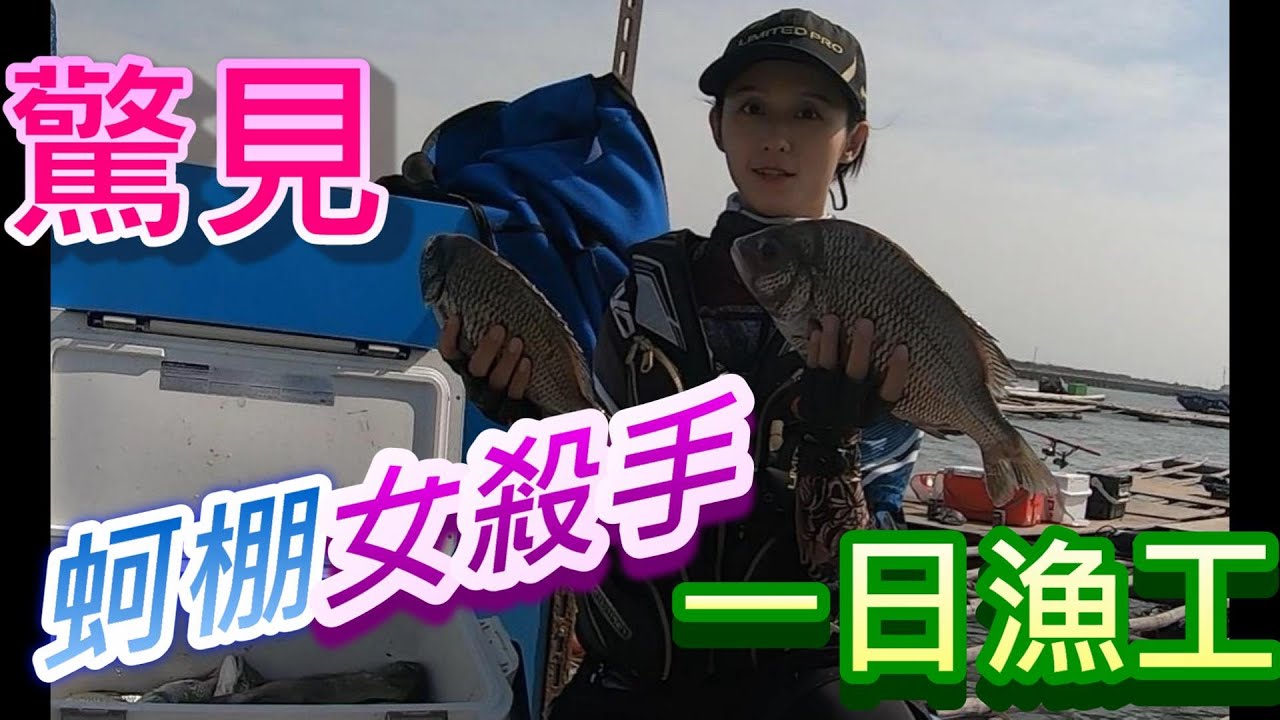 蚵棚女殺手 台西五條港筏釣 黑鯛黑格黑牛 一日漁工 高手釣魚