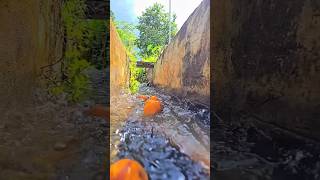 🍃 Relaxing Forest Stream in 4K | Nature Cinematic Video