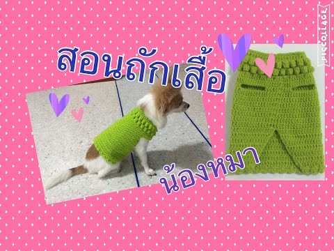 วีดีโอ: วิธีการถักเสื้อกันหนาวลายให้น้องหมา