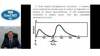 картинка: Физиология мышц - лекция 2 часть 1