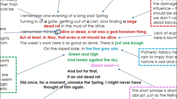 The Trees Are Down by Charlotte Mew - IGCSE English Literature - DayDayNews