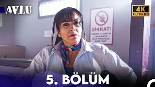 Avlu 5. Bölüm 4K