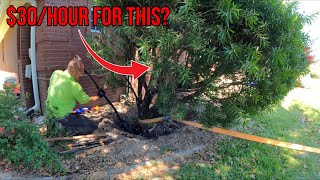 We Made $30 An Hour Pulling Shrubs Out Of This Front Yard