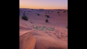 { الْحَمْدُ لِلَّهِ فَاطِرِ السَّمَاوَاتِ وَالْأَرْضِ } الشيخ فارس عباد حالات واتساب تلاوة خاشعة