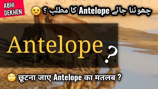 Antelope meaning in HINDI/URDU | Antelope Pronunciation | Antelope Pronounce | Wild animal