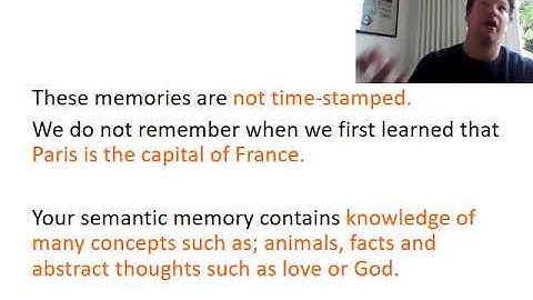 Types of Long Term Memory