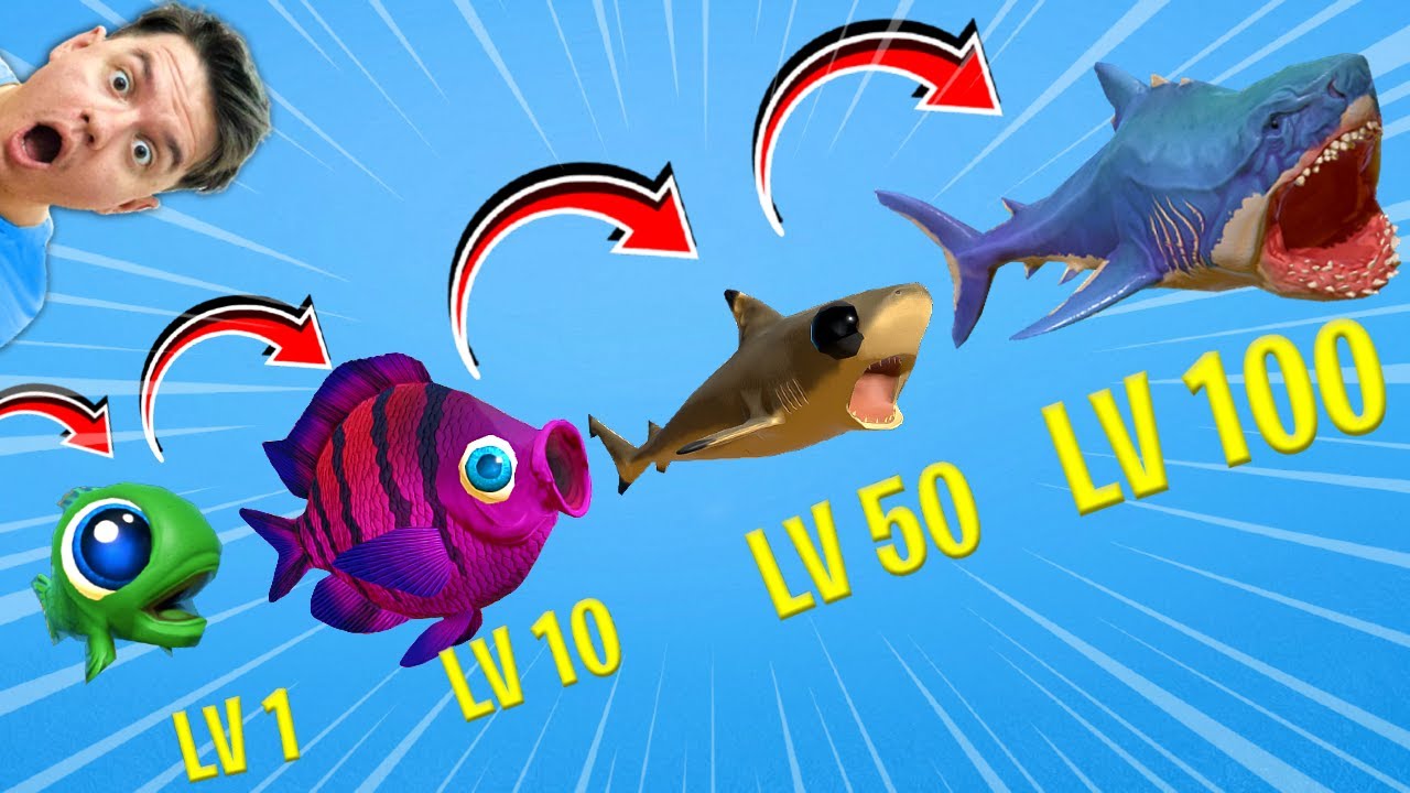 De la Peste MIC la Rechin GIGANTIC