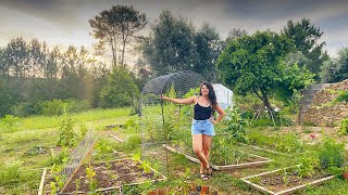 Turning our abandoned land into a food garden paradise