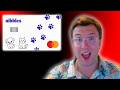 This Credit Card Gives You FREE Pet Insurance