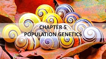5 Population Genetics with Mdm Suhaila