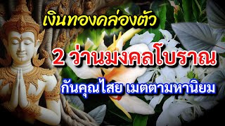 กันคุณไสย ปกป้องคุ้มภัย เมตตามหานิยม สุดยอดสมุนไพรพื้นบ้าน 2 ว่านมงคล โบราณ เสริมดวงรับทรัพย์ บ้านดี