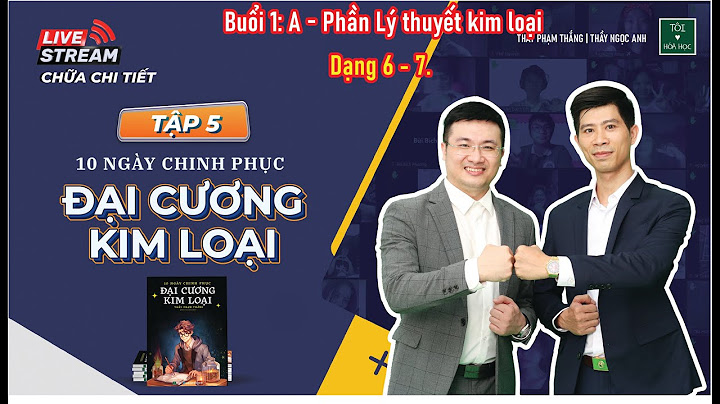 Lõi hợp kim đã từ hóa cho biến áp năm 2024