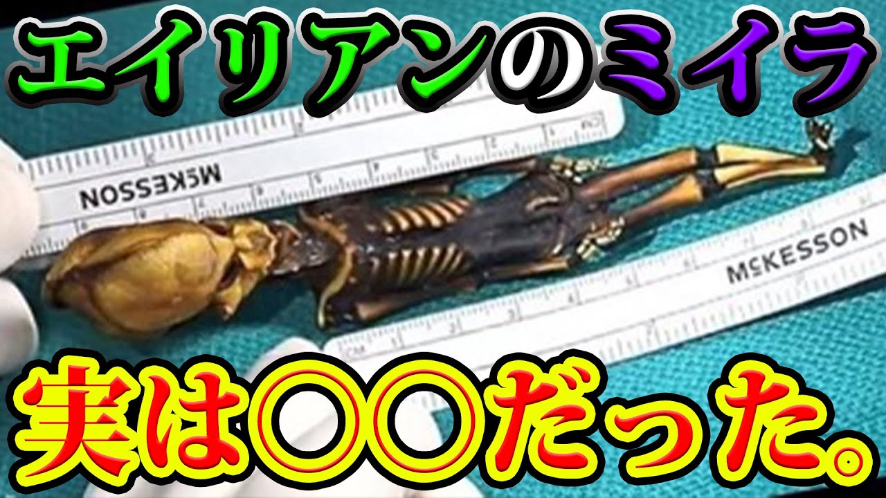 エイリアン 15センチの謎のミイラの正体がヤバすぎる 都市伝説 やりすぎ都市伝説 心霊 宇宙人 Youtube
