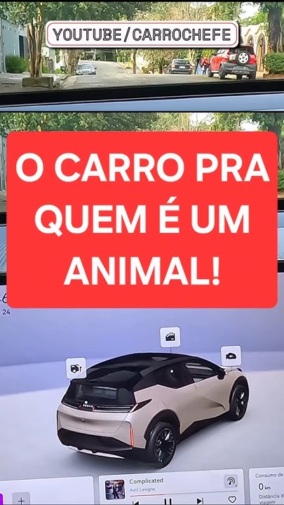 NOVO ZEERK X TEM MODO ESPECIAL PARA SEU DOGUINHO 🐶 #shorts
