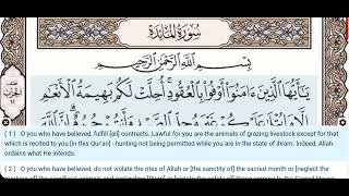 05 - Surah Al Maidah - Yaser Salamah - Quran Recitation, Arabic Text, English Translation
