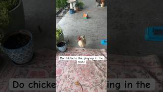 Celebrity Yes! #cuteanimals #funnyanimals #shorts #rain Profile