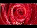 Richard Clayderman - Mariage d'amour